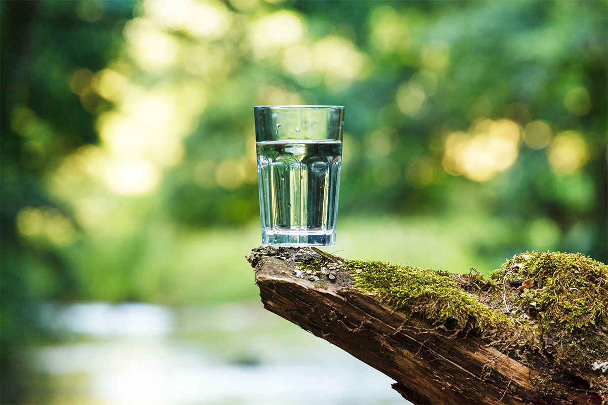 Wasserglas in der Natur – Wasserkonsum in der Fastenzeit